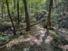 pxl_20260909_163217865_small.jpg