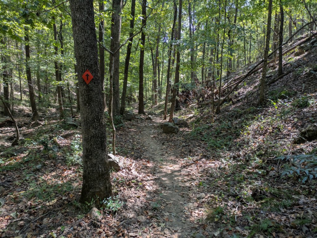 pxl_20260909_163245476.jpg