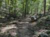pxl_20260909_163319365_small.jpg