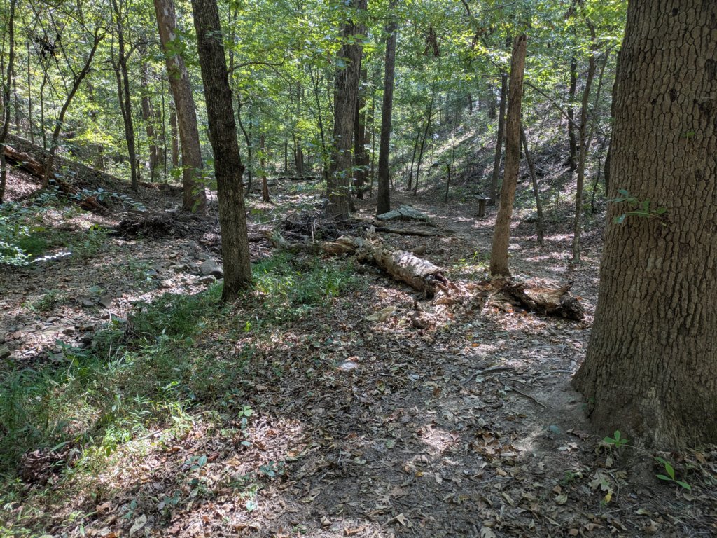 pxl_20260909_163419532mp.jpg