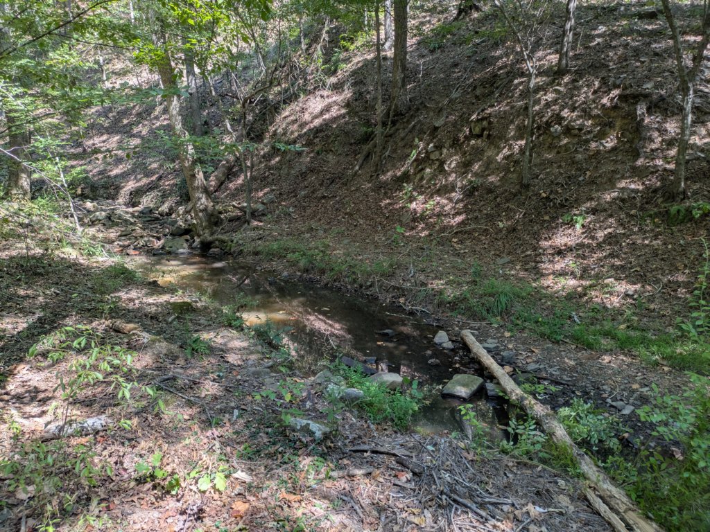 pxl_20260909_163424879.jpg