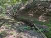 pxl_20260909_163424879_small.jpg