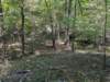 pxl_20260909_163543547_small.jpg