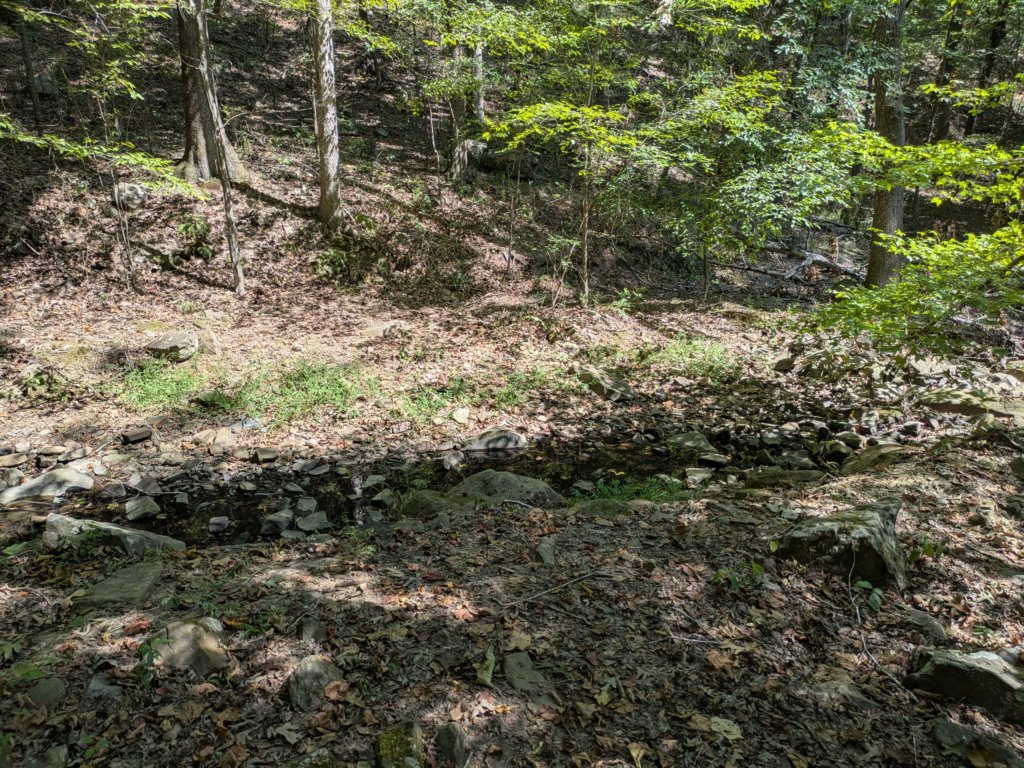 pxl_20260909_163704497.jpg