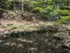 pxl_20260909_163704497_small.jpg