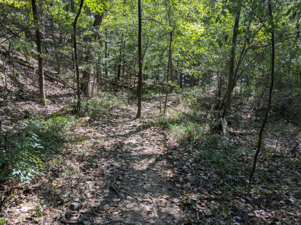 pxl_20260909_163823232.jpg