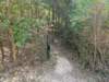 pxl_20260909_164224159_small.jpg
