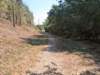pxl_20260909_164229739_small.jpg
