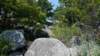 img_20170805_132012855_small.jpg