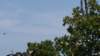img_20170805_132819351_small.jpg