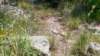 img_20170805_132915994_small.jpg