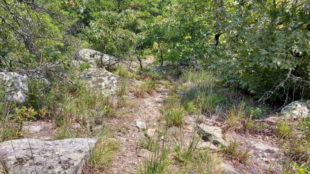 img_20170805_132936665_hdr.jpg