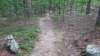 img_20170805_135643102_small.jpg