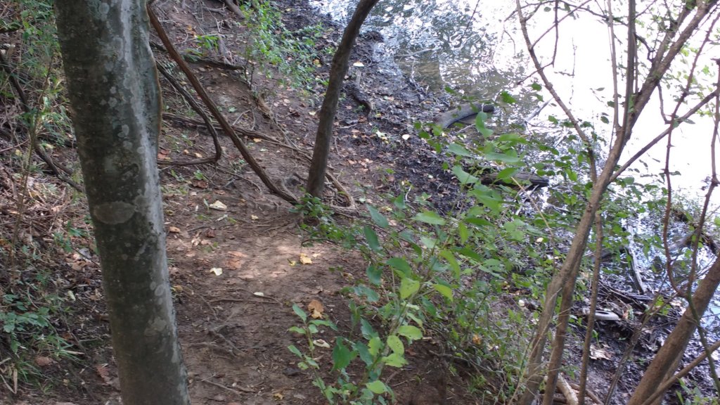 img_20170805_140002055.jpg