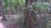 img_20170805_140107854_small.jpg