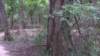 img_20170805_140108969_small.jpg
