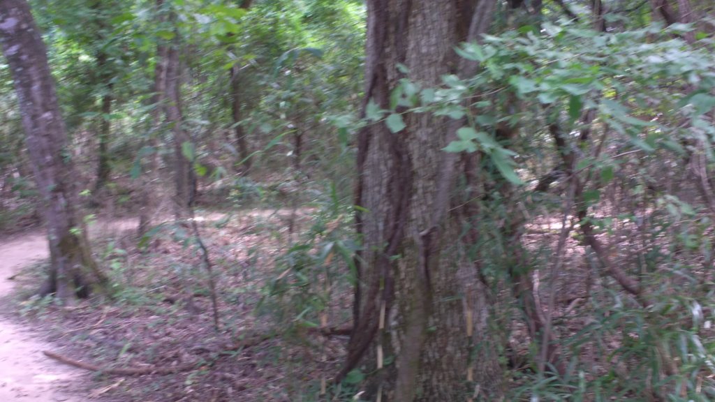img_20170805_140110087.jpg