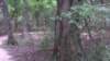 img_20170805_140110087_small.jpg