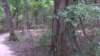 img_20170805_140112036_small.jpg