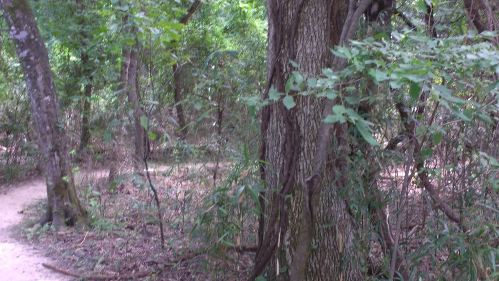img_20170805_140113177.jpg