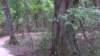 img_20170805_140113177_small.jpg