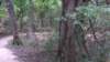 img_20170805_140122232_small.jpg