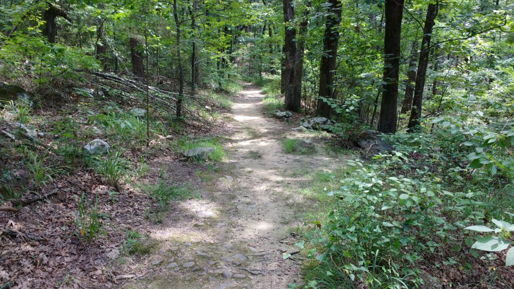 img_20170805_140338410.jpg