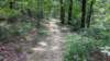img_20170805_140338410_small.jpg