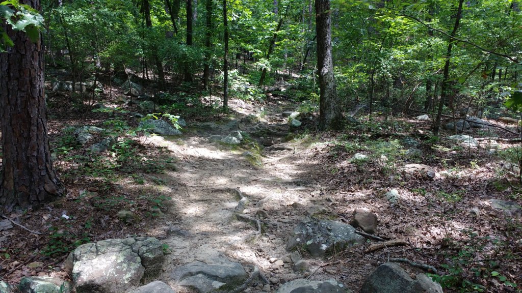 img_20170805_140457549.jpg