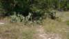 img_20170805_141651150_small.jpg