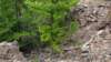 img_20170805_142756108_small.jpg