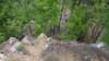 img_20170805_142941257_small.jpg