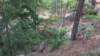 img_20170805_143122652_small.jpg
