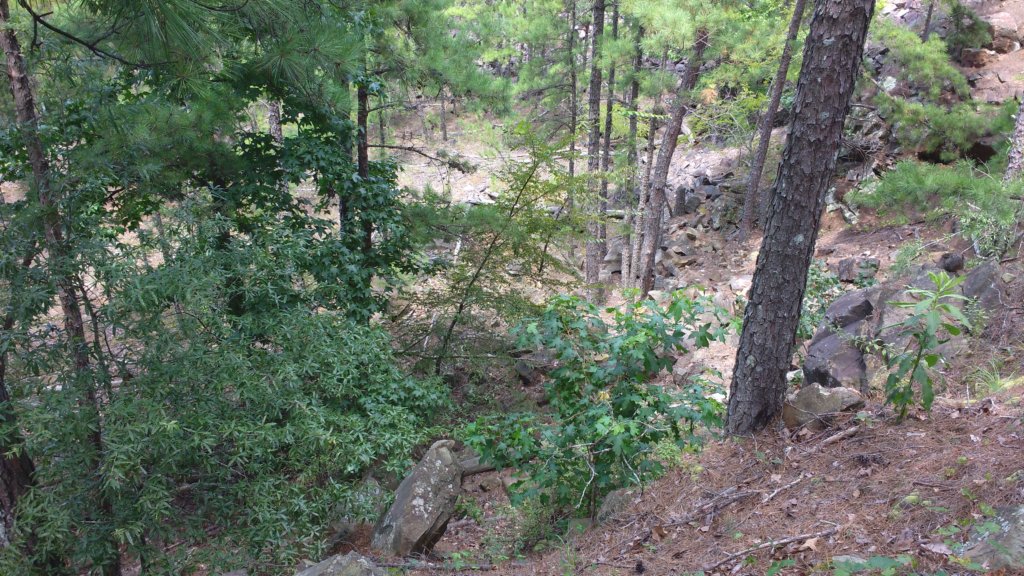 img_20170805_143123766.jpg