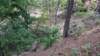 img_20170805_143130288_small.jpg