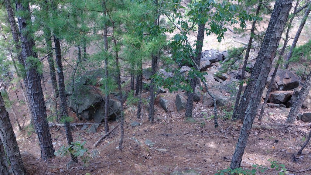 img_20170805_143243633.jpg