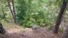 img_20170805_143255175_small.jpg