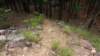 img_20170805_143318300_small.jpg