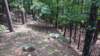 img_20170805_143401770_small.jpg