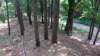 img_20170805_143554551_small.jpg