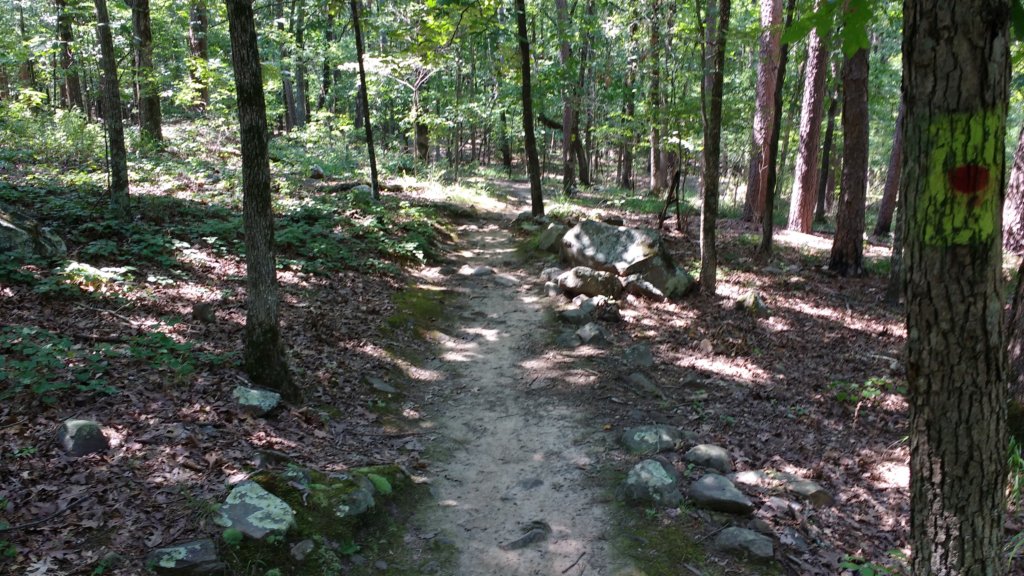 img_20170805_145203753.jpg