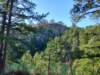 img_20201115_132619772_hdr_small.jpg