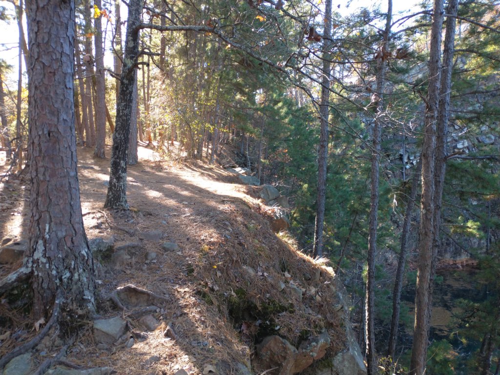 img_20201115_132730876.jpg