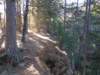 img_20201115_132730876_small.jpg