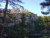 img_20201115_132740940_small.jpg
