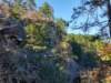 img_20201115_132827270_hdr_small.jpg