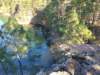 img_20201115_132939357_small.jpg