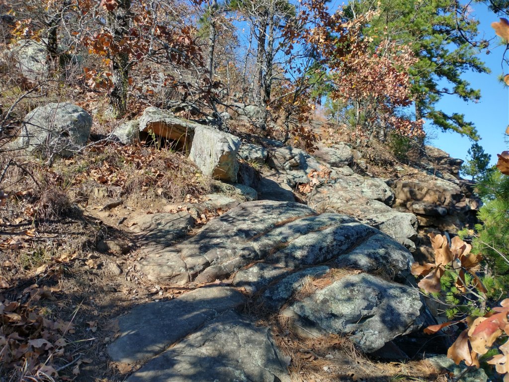 img_20201115_133001846_hdr.jpg