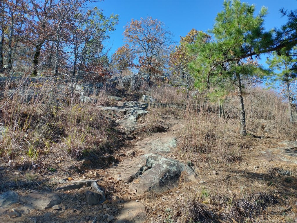 img_20201115_133110998_hdr.jpg