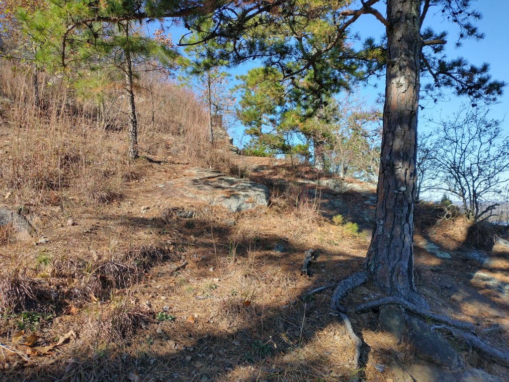 img_20201115_133114188_hdr.jpg